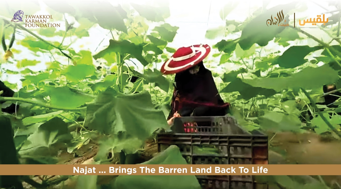 Tawakkol Karman Foundation supports agricultural engineer with farming project in Taiz